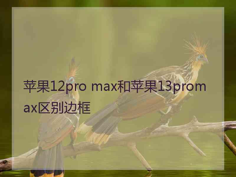 苹果12pro max和苹果13promax区别边框