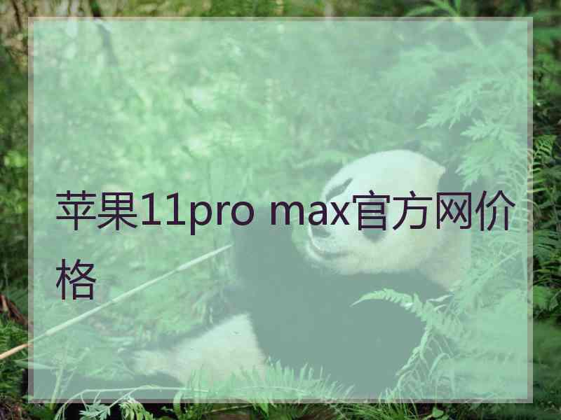 苹果11pro max官方网价格