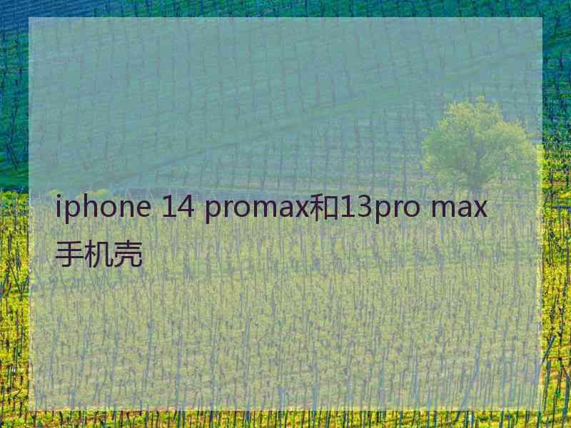 iphone 14 promax和13pro max手机壳