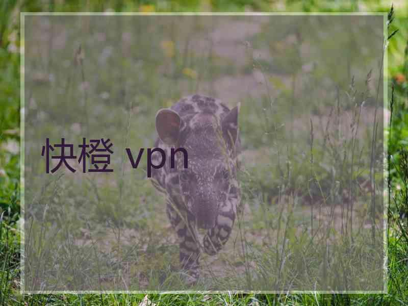 快橙 vpn