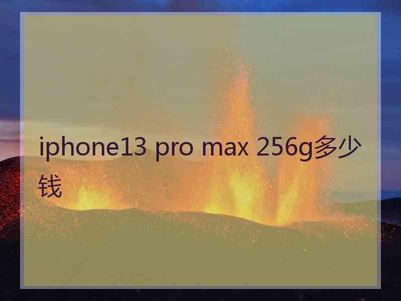 iphone13 pro max 256g多少钱