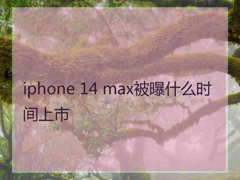 iphone 14 max被曝什么时间上市