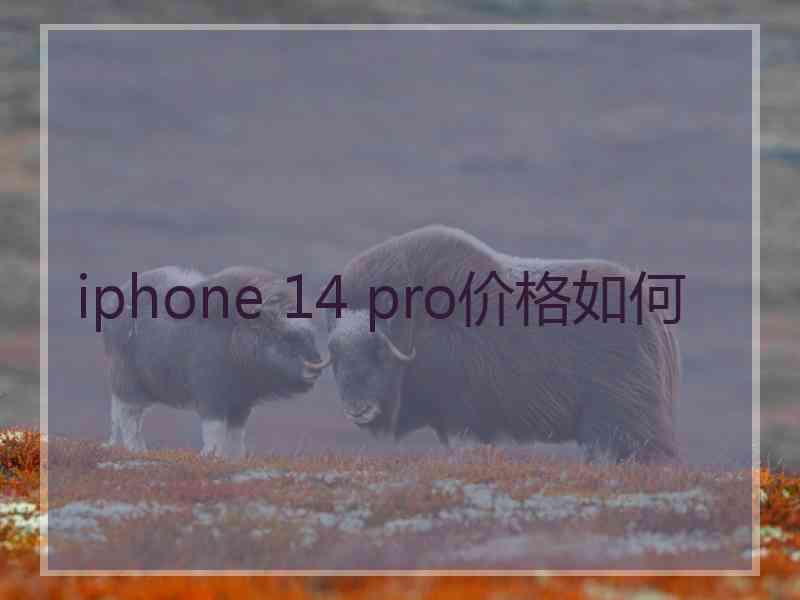 iphone 14 pro价格如何