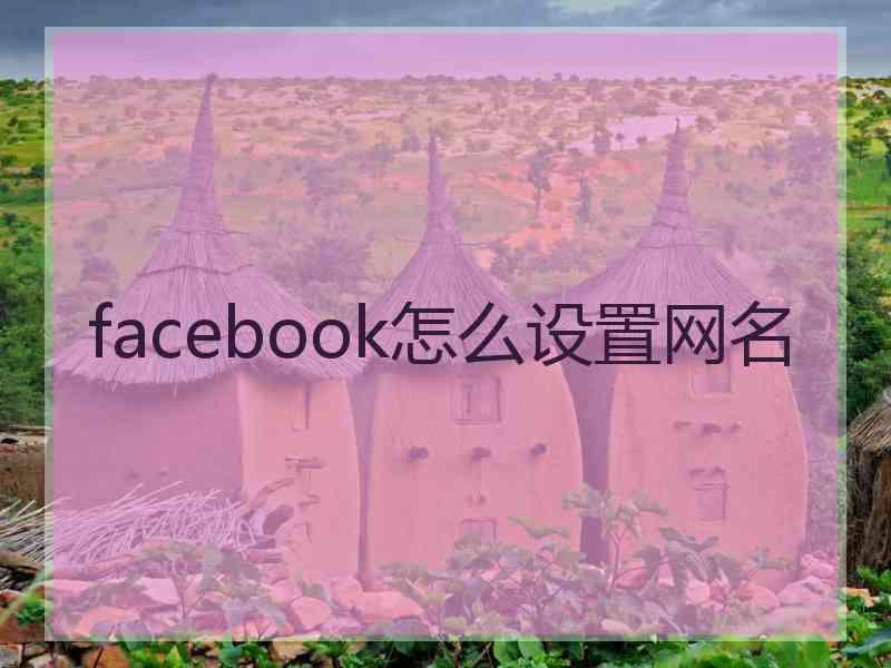 facebook怎么设置网名