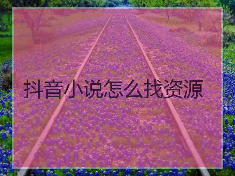 抖音小说怎么找资源