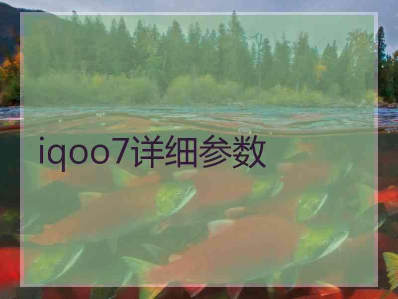 iqoo7详细参数