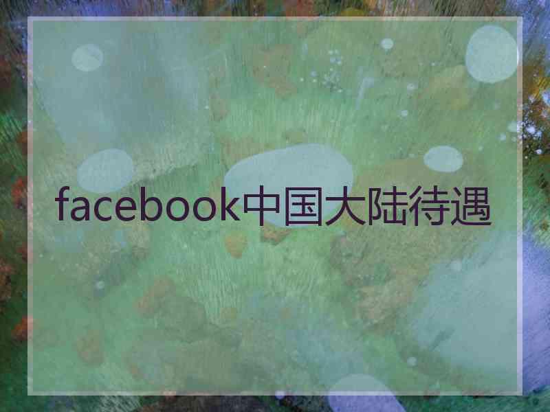 facebook中国大陆待遇