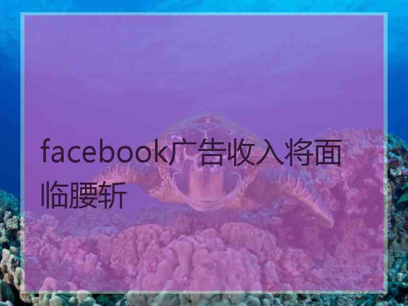 facebook广告收入将面临腰斩