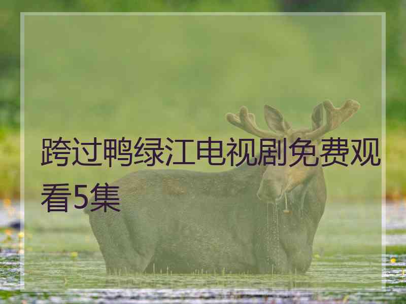 跨过鸭绿江电视剧免费观看5集