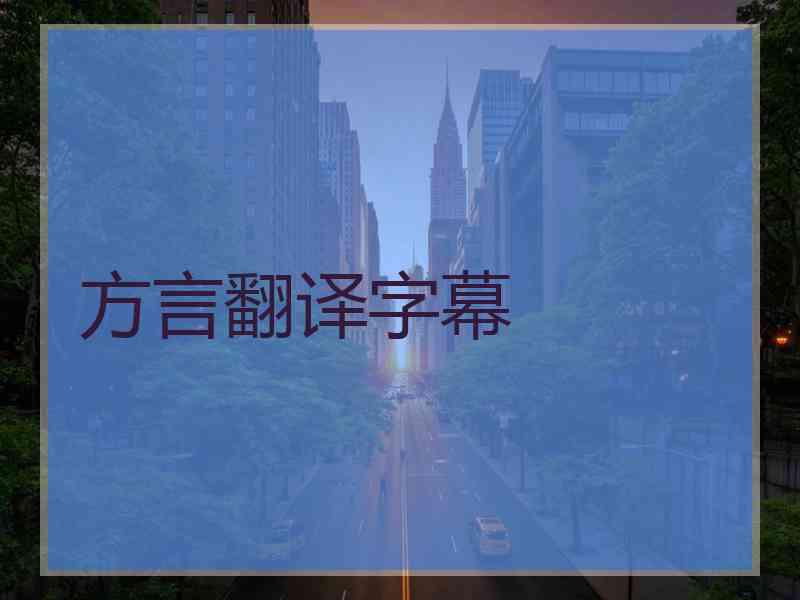 方言翻译字幕