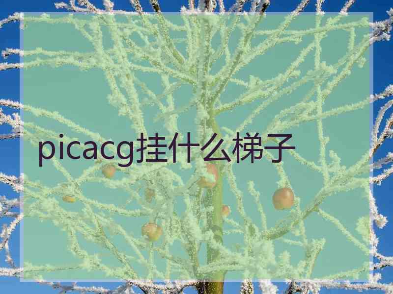 picacg挂什么梯子