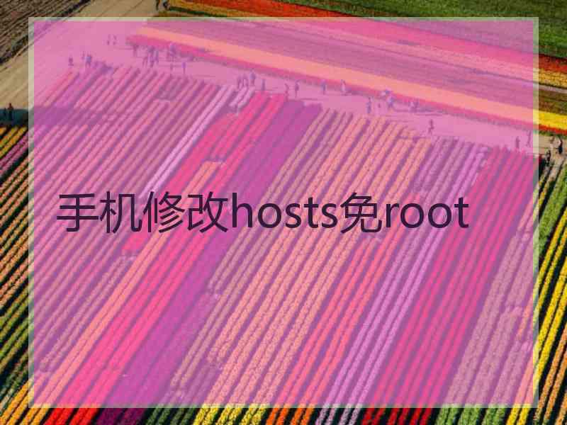 手机修改hosts免root