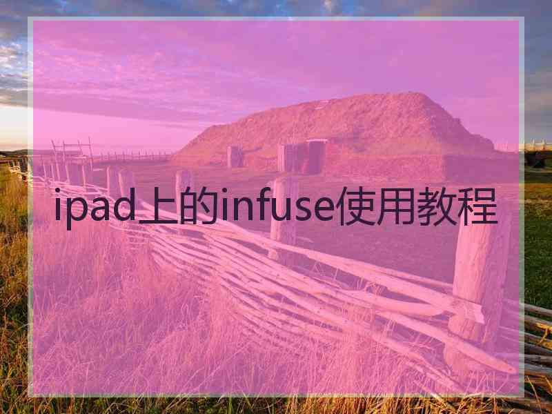 ipad上的infuse使用教程