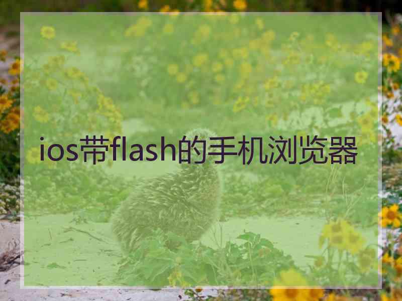 ios带flash的手机浏览器