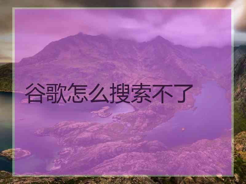 谷歌怎么搜索不了