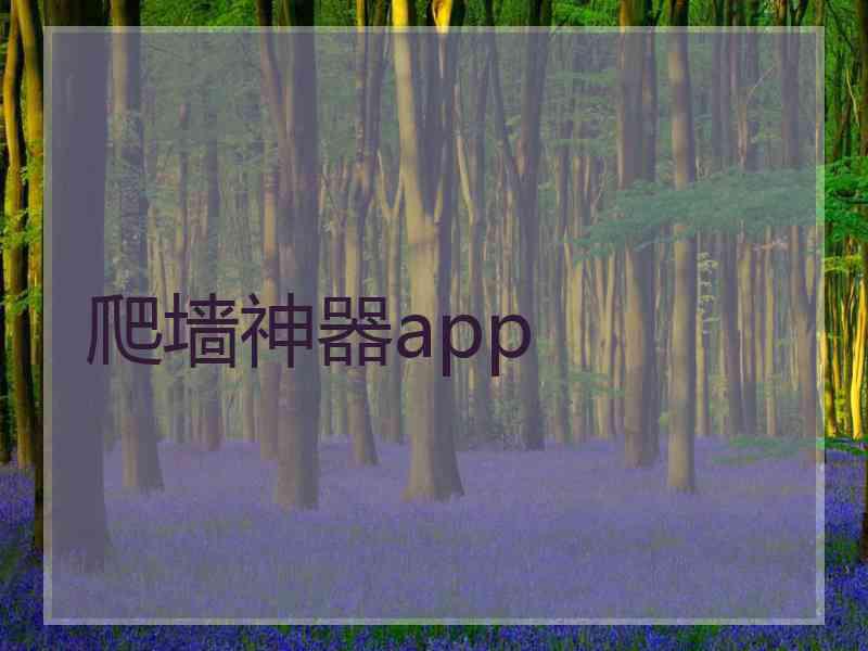 爬墙神器app