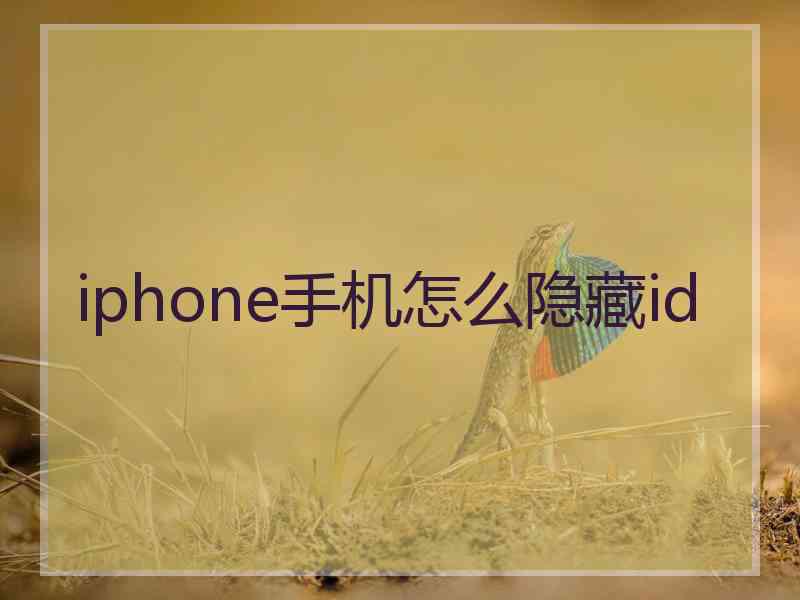 iphone手机怎么隐藏id