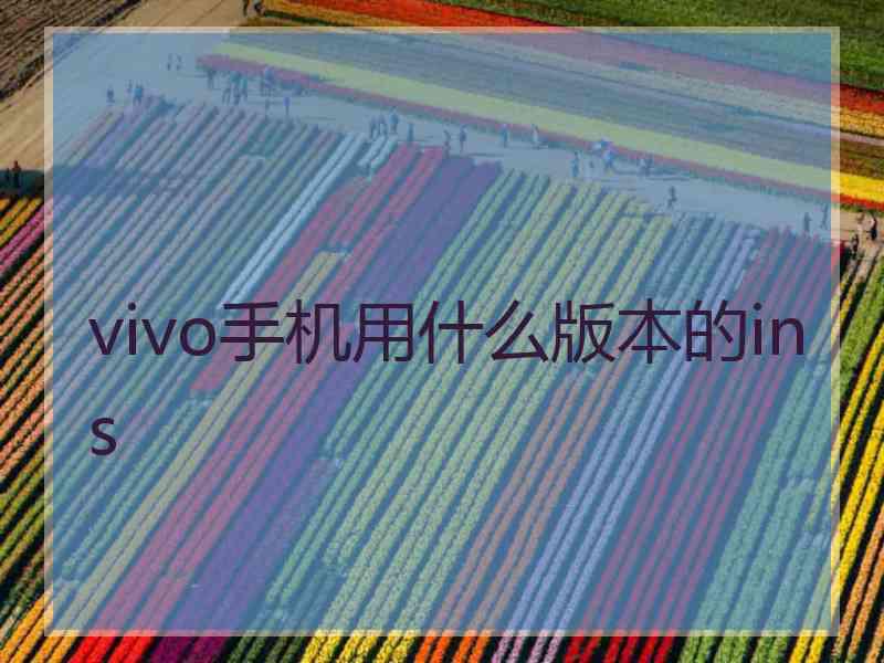 vivo手机用什么版本的ins