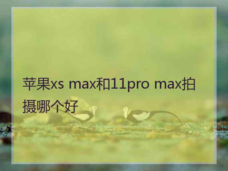 苹果xs max和11pro max拍摄哪个好