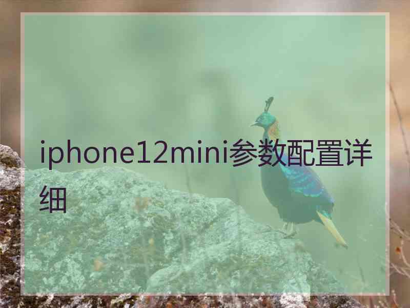 iphone12mini参数配置详细