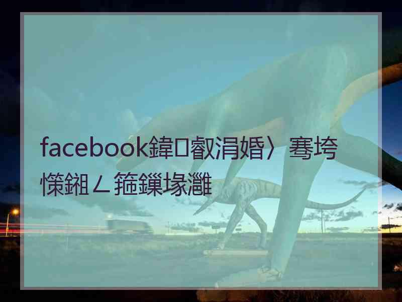 facebook鍏叡涓婚〉骞垮憡鎺ㄥ箍鏁堟灉