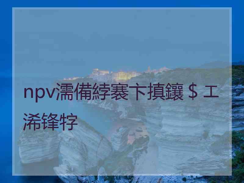 npv濡備綍褰卞搷鑲＄エ浠锋牸