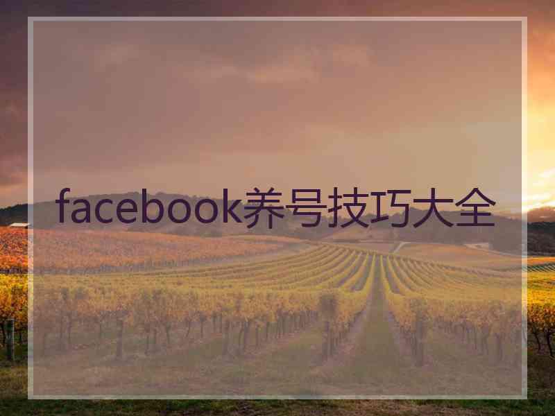 facebook养号技巧大全