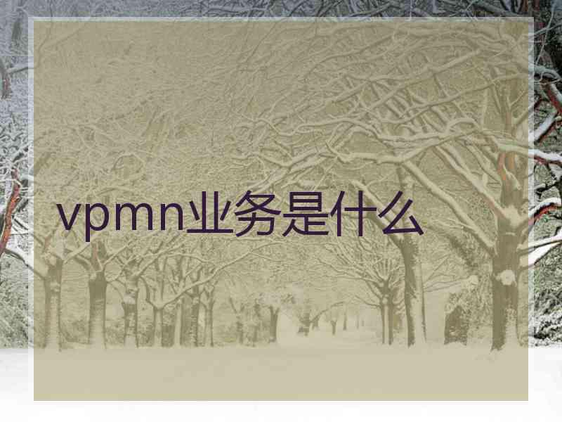 vpmn业务是什么