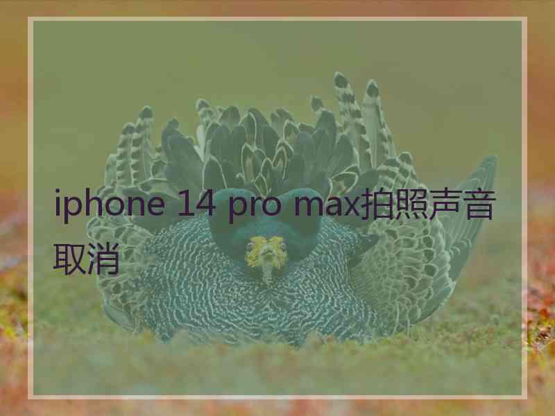 iphone 14 pro max拍照声音取消