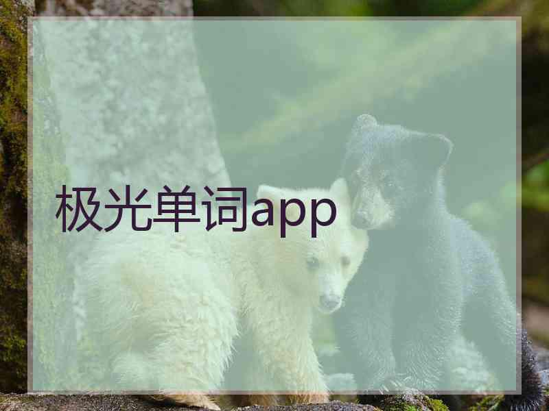 极光单词app