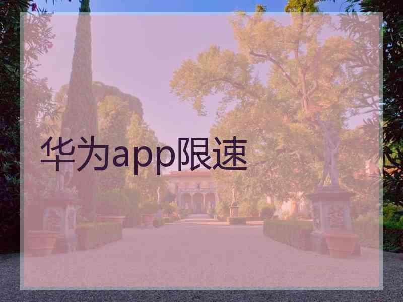 华为app限速