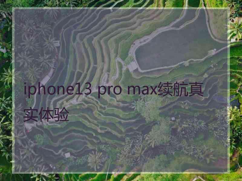 iphone13 pro max续航真实体验