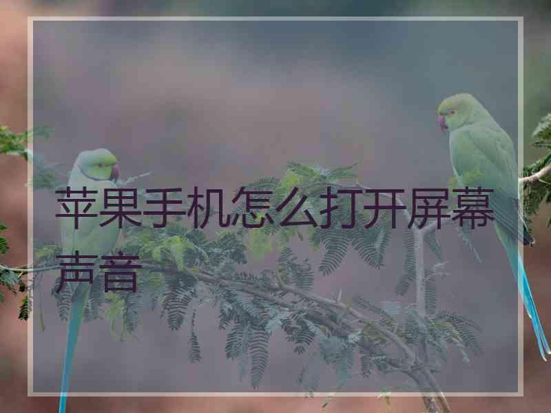 苹果手机怎么打开屏幕声音