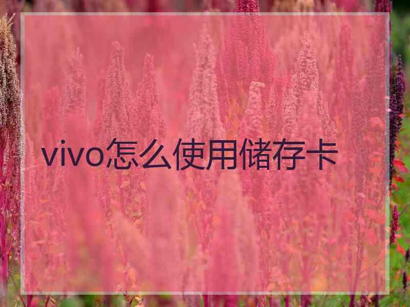 vivo怎么使用储存卡