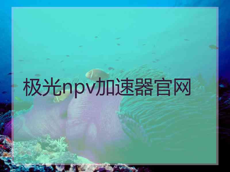 极光npv加速器官网