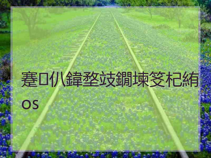 蹇仈鍏堥攱鐗堜笅杞絠os