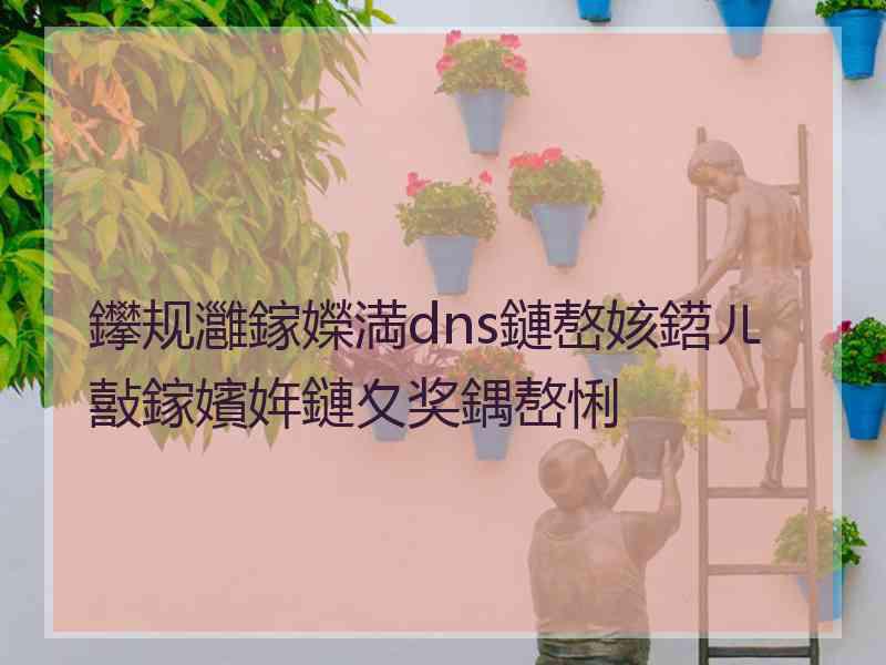 鑻规灉鎵嬫満dns鏈嶅姟鍣ㄦ敼鎵嬪姩鏈夊奖鍝嶅悧