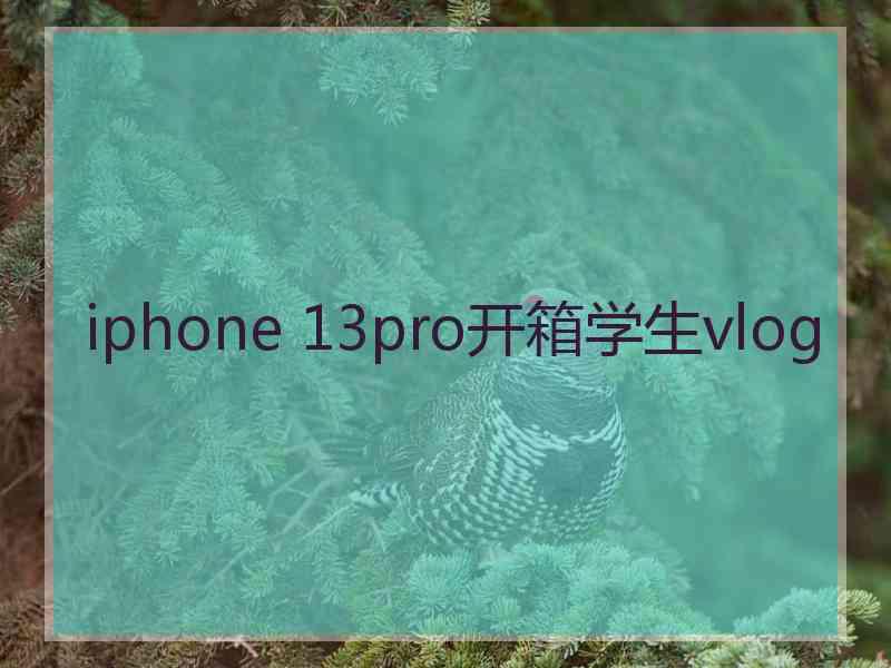 iphone 13pro开箱学生vlog