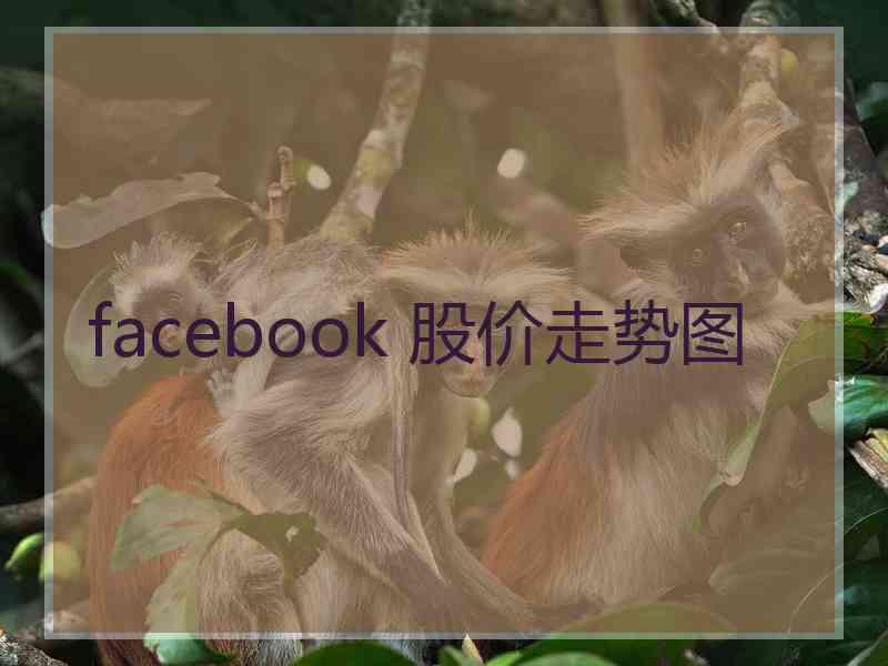 facebook 股价走势图