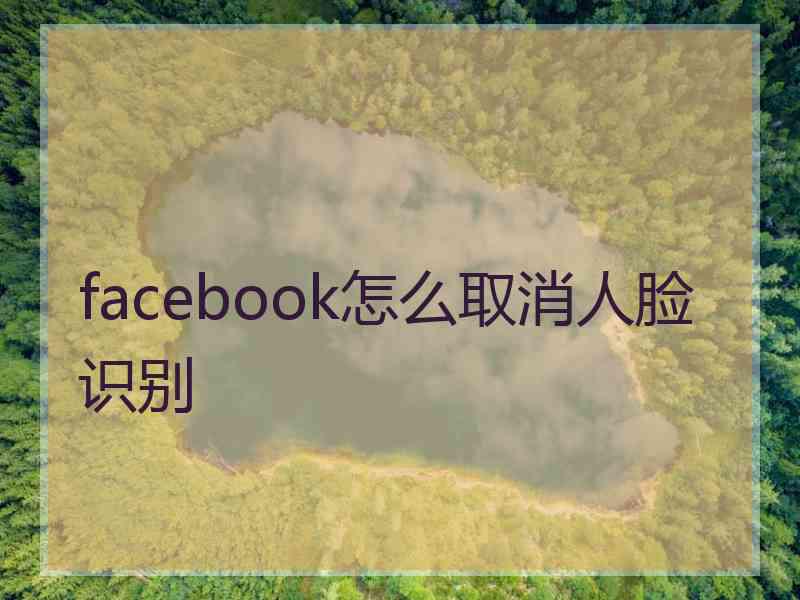 facebook怎么取消人脸识别