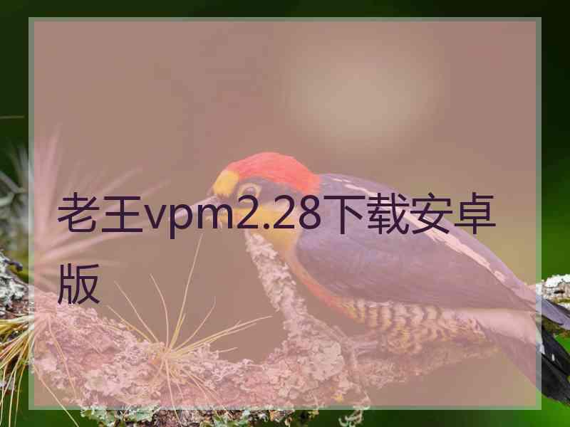 老王vpm2.28下载安卓版