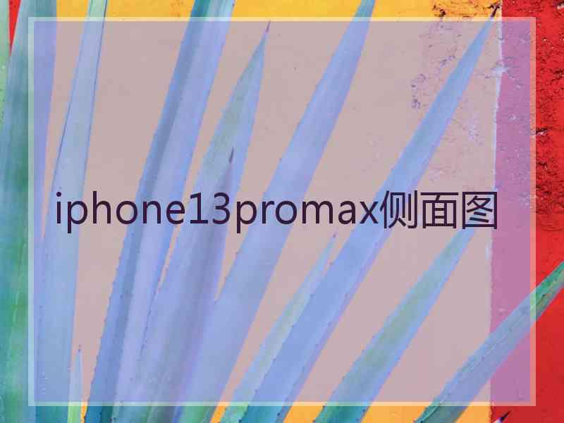 iphone13promax侧面图