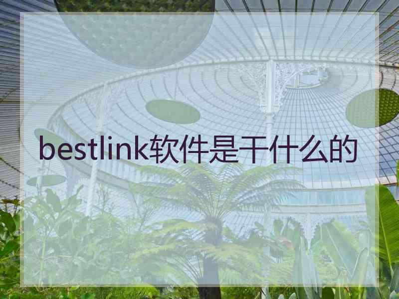 bestlink软件是干什么的