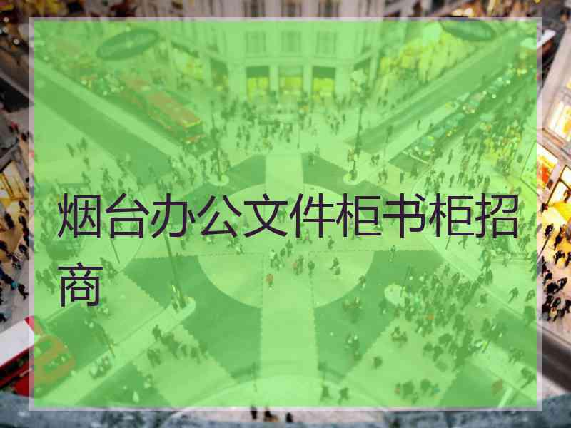 烟台办公文件柜书柜招商