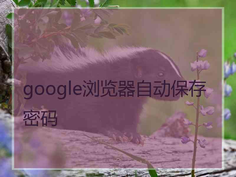 google浏览器自动保存密码