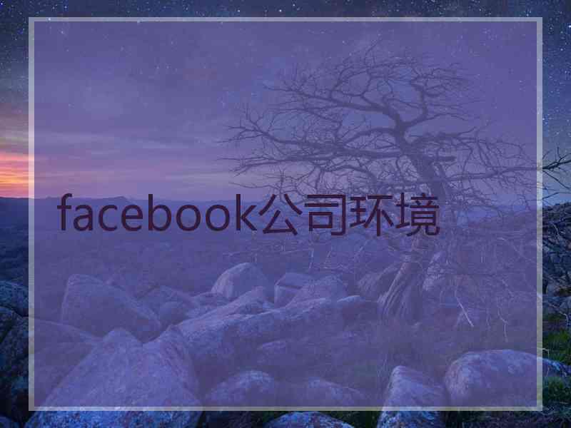 facebook公司环境