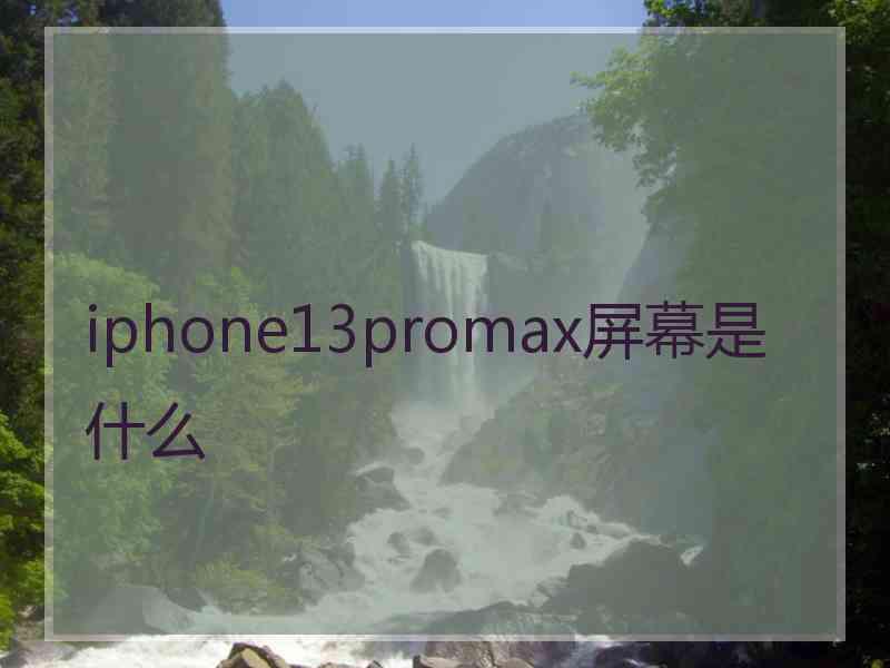 iphone13promax屏幕是什么