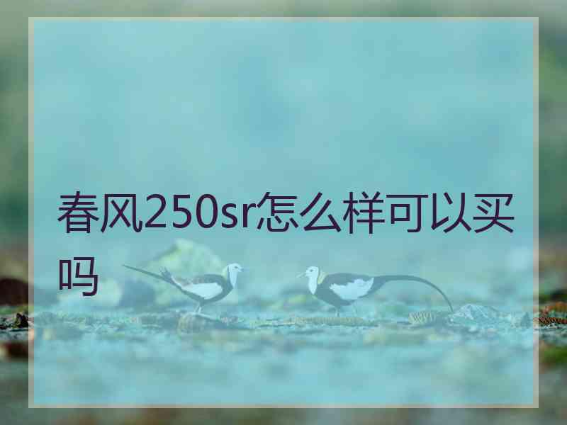 春风250sr怎么样可以买吗