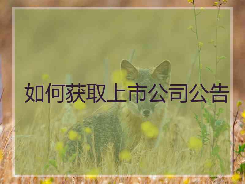 如何获取上市公司公告