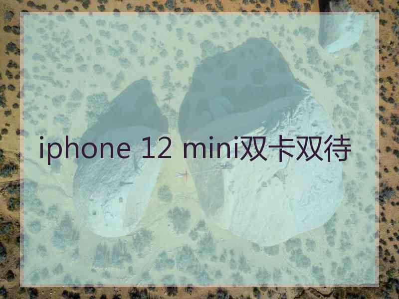 iphone 12 mini双卡双待